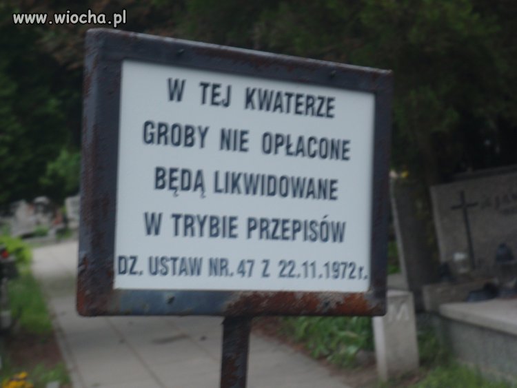 Ach te Polskie państwo