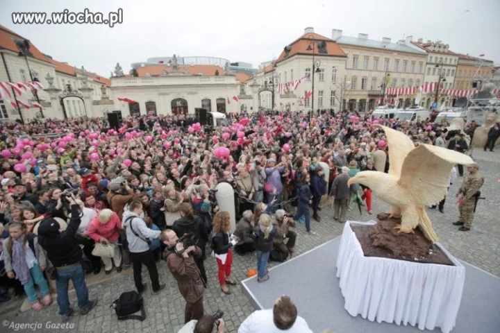 Nie poleci orzeł w g@wna?