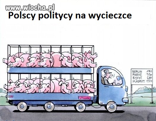 Wycieczka