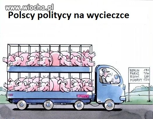 Wycieczka
