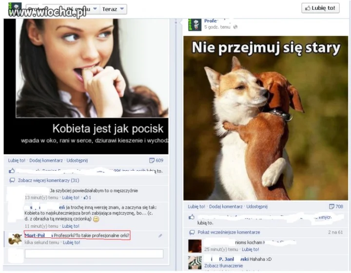 Świetne skojarzenie