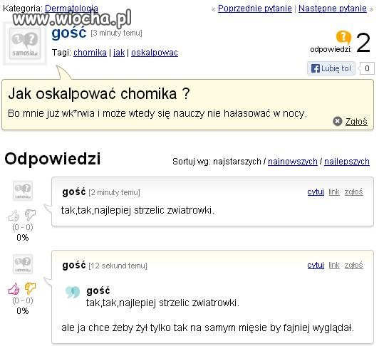 Chomiczek.