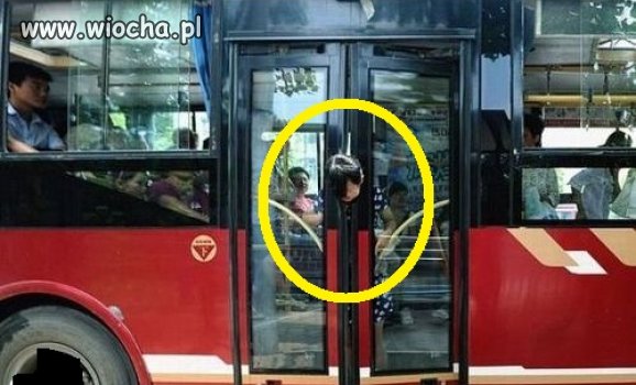 Nie ma co pchać głowy