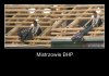  dekarz to nie tylko fachowiec ale też i akrobata