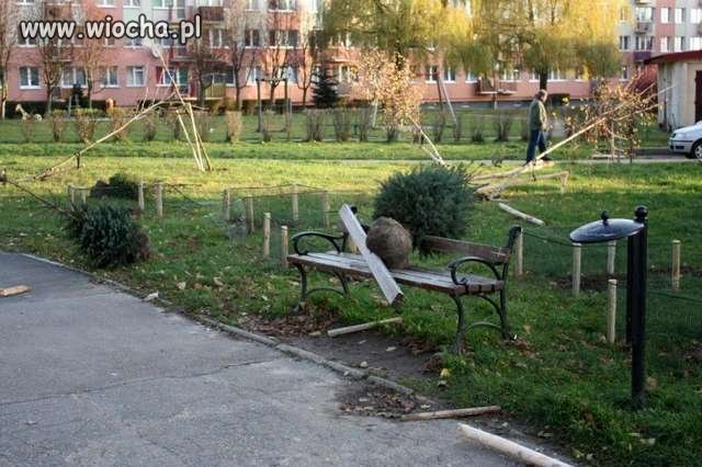 To nie tornado...to stado bezmózgich debili 