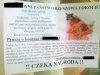 Zaginął piesek
