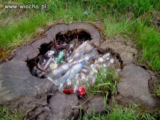 Pojemnik