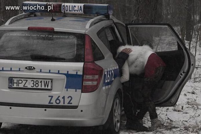 Pies nie człowiek też musi 