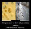 Polskie drogi