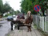 Kierowcy z Niska