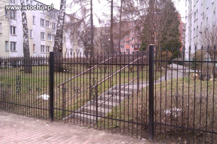 Totalny brak myślenia