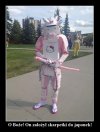Japonia to nie kraj
