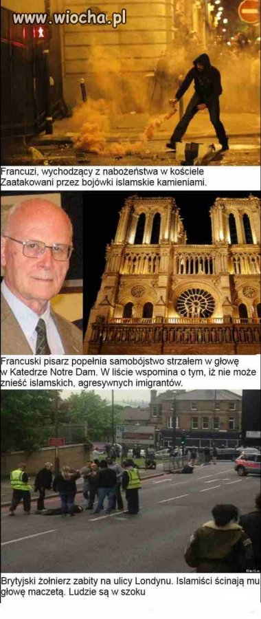 Mamy zasraną tolerancię