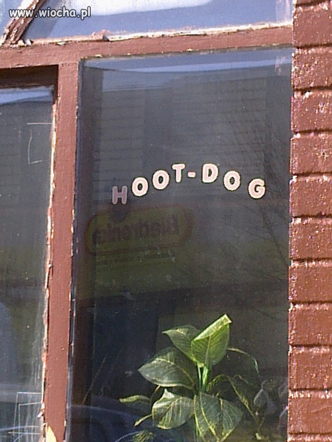 HOOT-DOG !