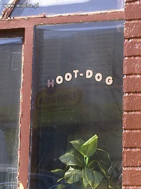 HOOT-DOG !