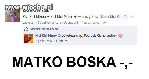 Kici kici