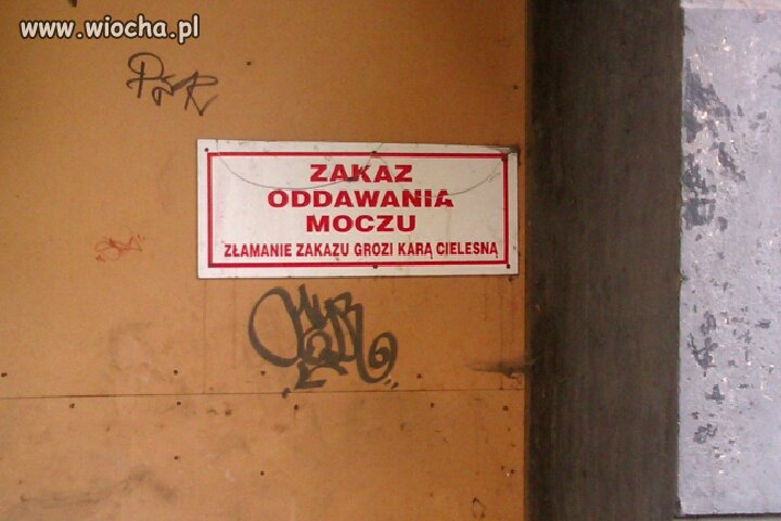 Zakazy są po to żeby je łamać