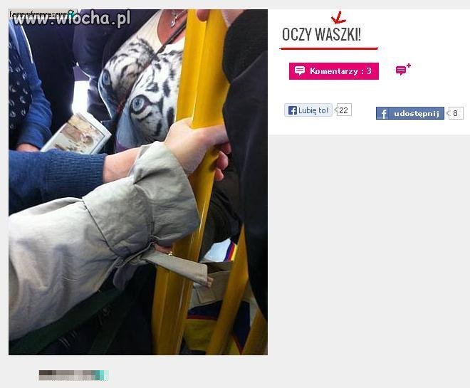 "Prawdziwa blogerka"