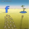 Cała prawda o facebooku