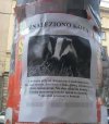 Czy zgubił ktoś kotka?