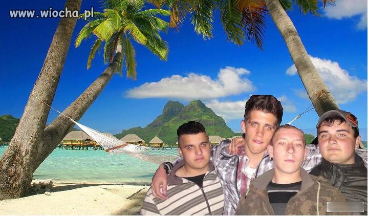 Wakacje pod palmami