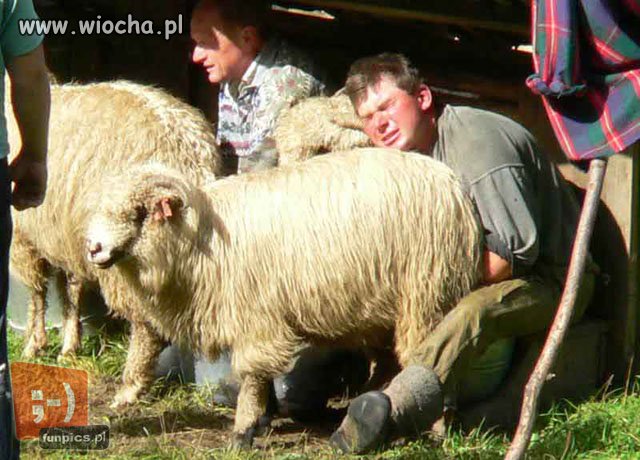 A mama mówiła 
