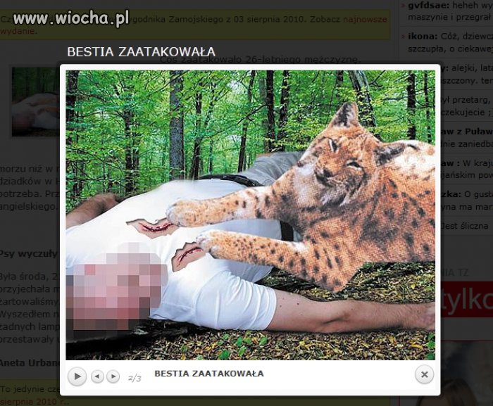 Bestia Zaatakowała!