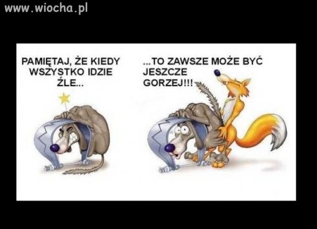 Kiedy wszystko idzie źle...
