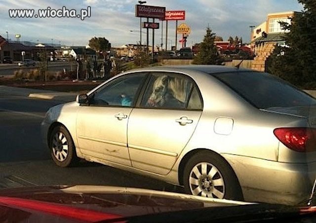 Zabiorę Cię własnie tam.. 