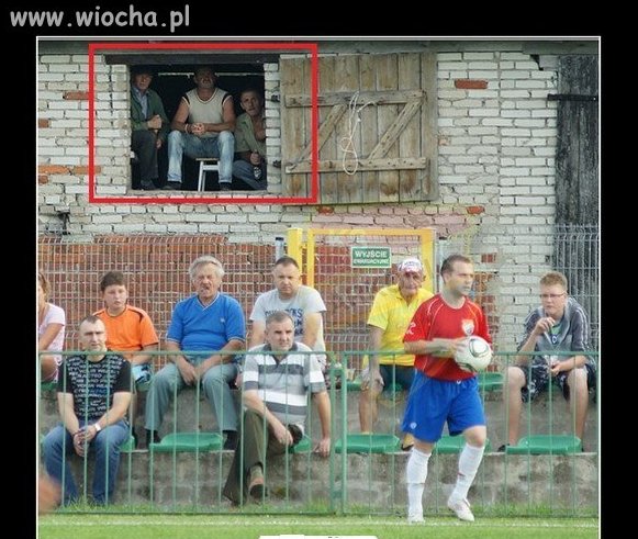 Polska Loża Vipów 