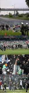 Stadion to nie obora.