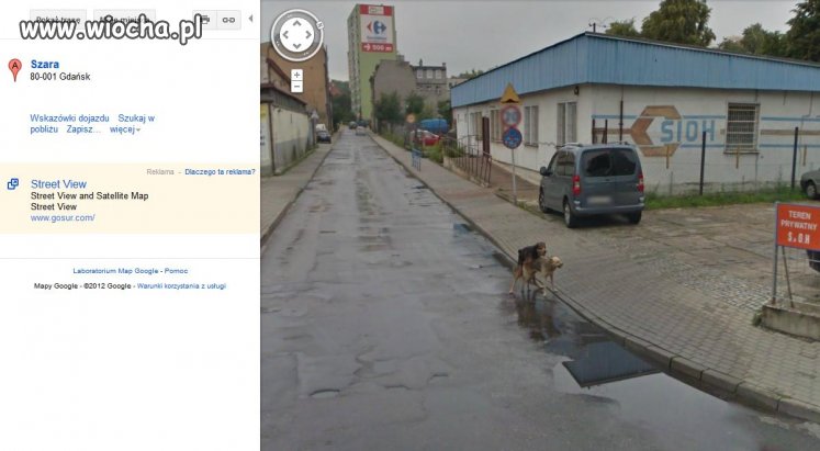 Tymczasem 