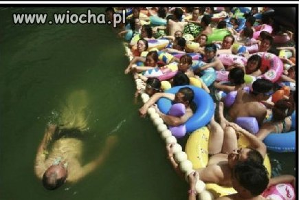 Bogacz na basenie