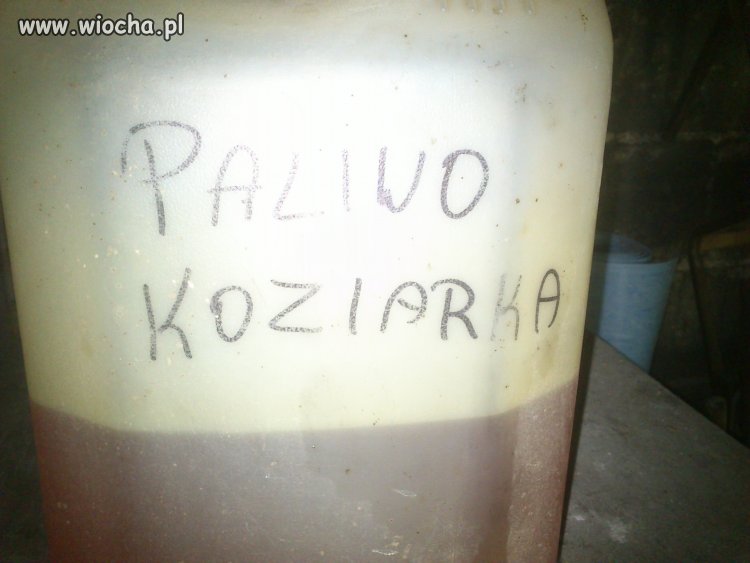 Pozdrawiam