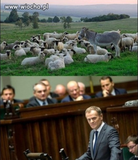 Posiedzenie rządu
