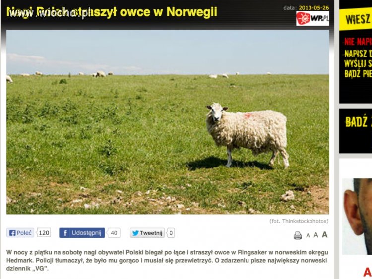 Nagi polak  hahahah