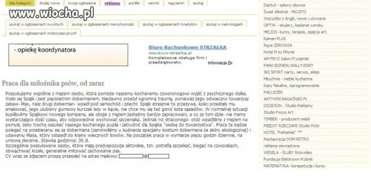 Praca od zaraz
