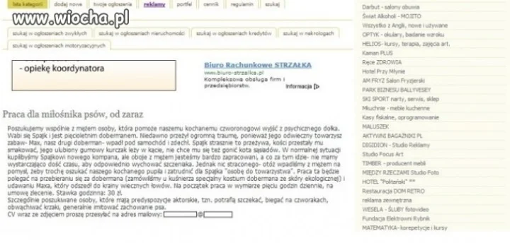Praca od zaraz