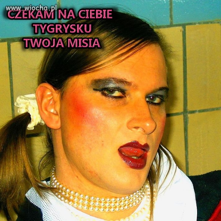 Misia i tygrysek