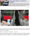 Polskie prawo górą.