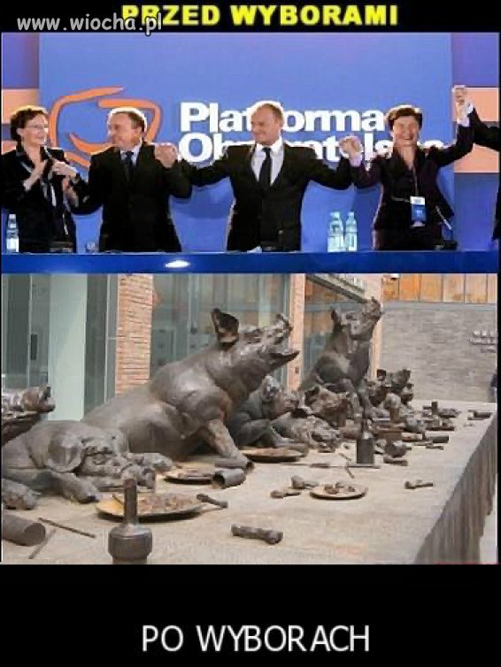 Przed wyborami kochamy was