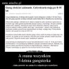 Gang złodziei 