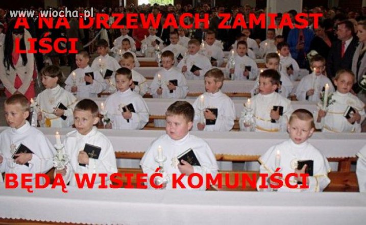 Trzeba mieć zryty beret 