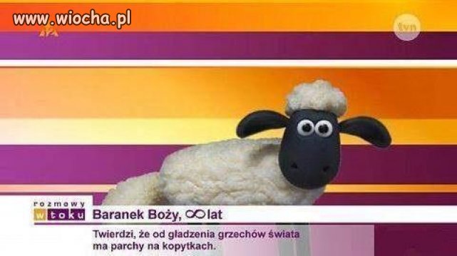 Internet - zbór kretyńskich dowcipów ludzi,