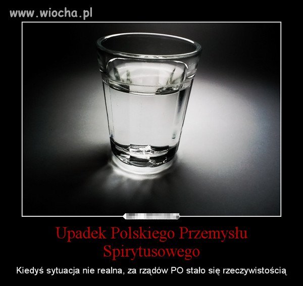 Gratulacje