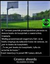 Nie wiem jak to skomentować  