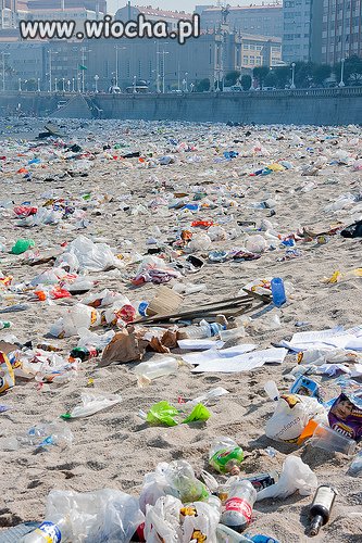 Plaża dzika plaża - sezon 2014