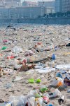 Plaża dzika plaża - sezon 2014