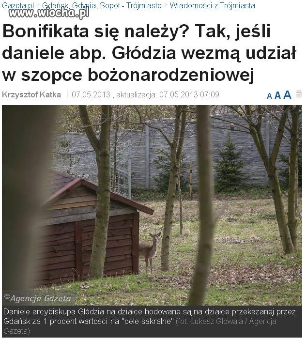 Państwo polskie to dopiero szopka!