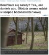 Państwo polskie to dopiero szopka!